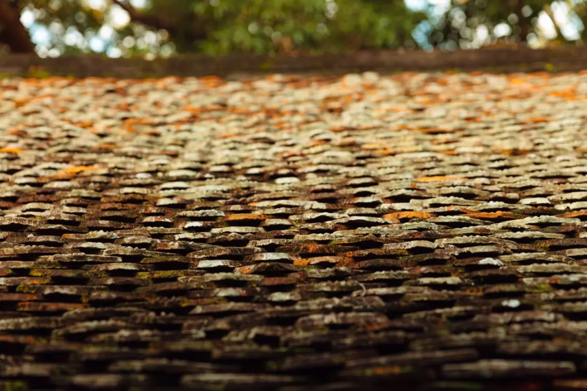 Roof Coatings & Sealing in Campbell, CA